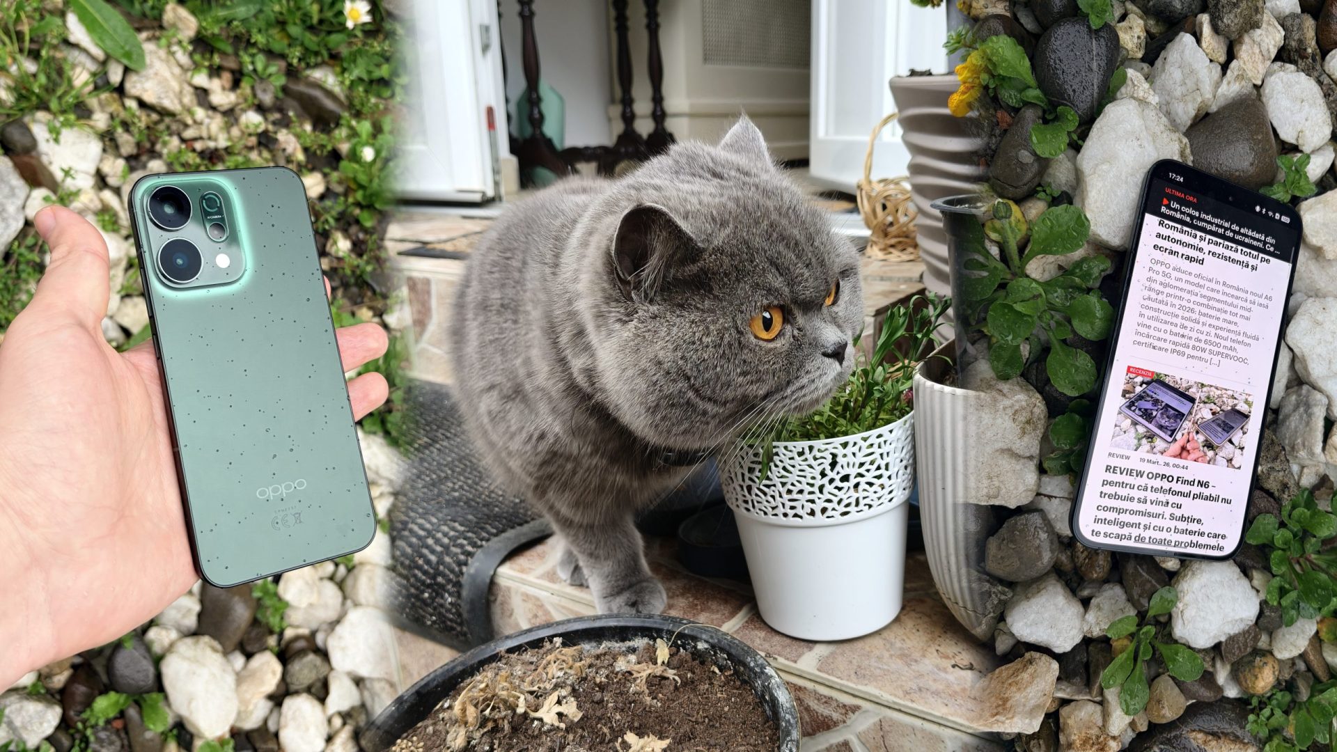 Oppo Reno14 5G, un dispozitiv cu design original și performanțe promițătoare Noul Oppo Reno14 5G vine în fața utilizatorilor ca un telefon accesibil, dar în același timp plin de funcții avansate și un design ce captează atenția