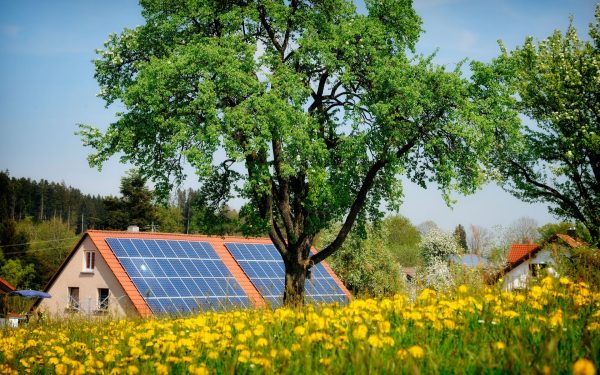 Lemnul energetic MINUNE: Produce curent solar… și noaptea!