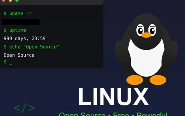 Franța renunță la Windows: Vrea Linux pentru suveranitate digitală față de Giganții Tech