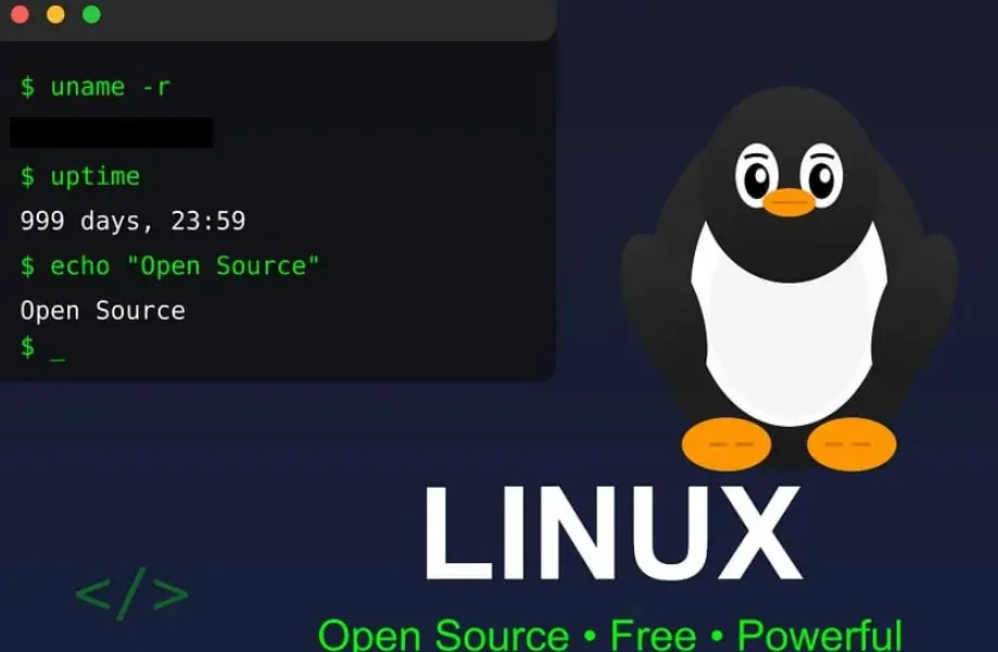 Franța renunță la Windows: Vrea Linux pentru suveranitate digitală față de Giganții Tech