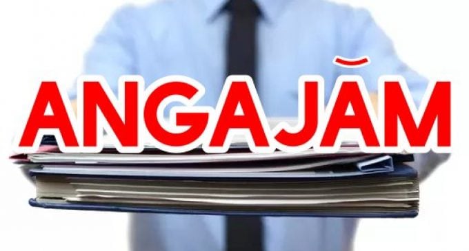 Angajări fără oprire în România: Firmele se „bat” pe șoferi, curieri și necalificați