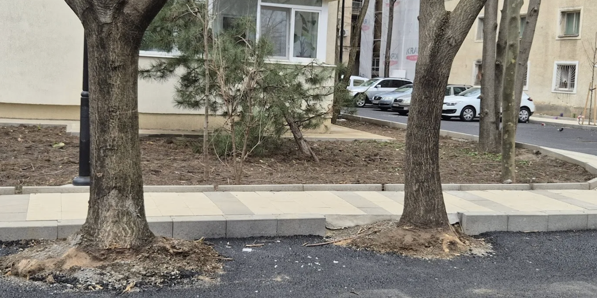 Hopincă, amendat! Parcări ilegale în spațiul verde, demolate de Garda de Mediu