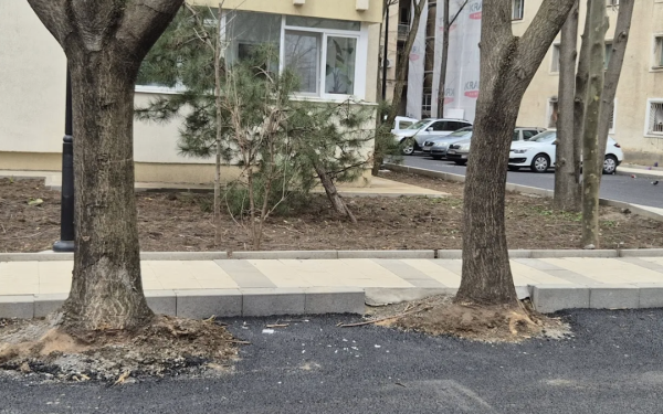 Hopincă, amendat! Parcări ilegale în spațiul verde, demolate de Garda de Mediu