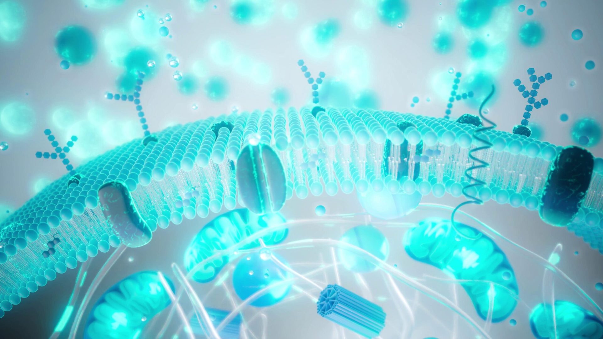 Industria longevității promite vieți mai lungi și mai sănătoase, însă reale dovezi științifice în spatele acestor tratamente sunt încă limitate