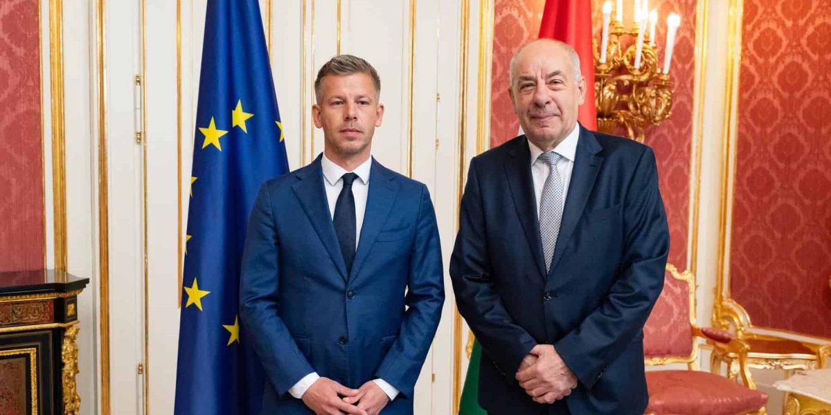 Magyar, asalt la putere: Întâlnire cu președintele Ungariei, demisia cerută