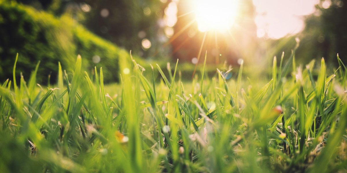 Vremea se dezmorțește, dar ploaia dă târcoale României