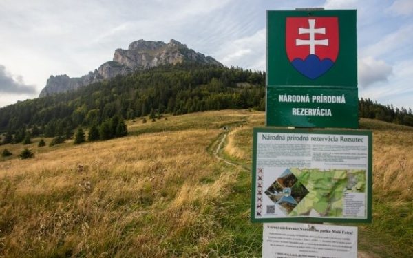 Ziua Pământului: Autoritățile GERMANE aduc aminte de importanța mediului