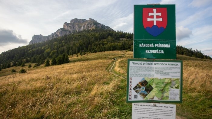 Ziua Pământului: Autoritățile GERMANE aduc aminte de importanța mediului