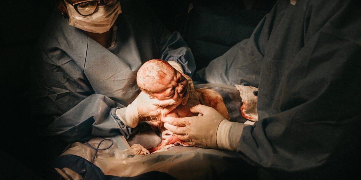 Senatoarea Păun (USR) cere eliminarea panourilor pro-naștere din București