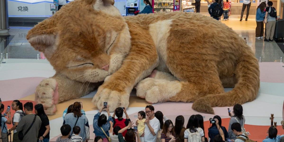 O pisică URIAȘĂ de 8 metri „locuiește” în aeroportul din Hong Kong