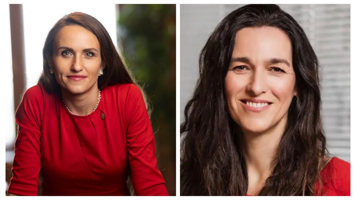 Oana Țoiu, întâlnire-fulger cu viitorul ministru de Externe al Ungariei, în România