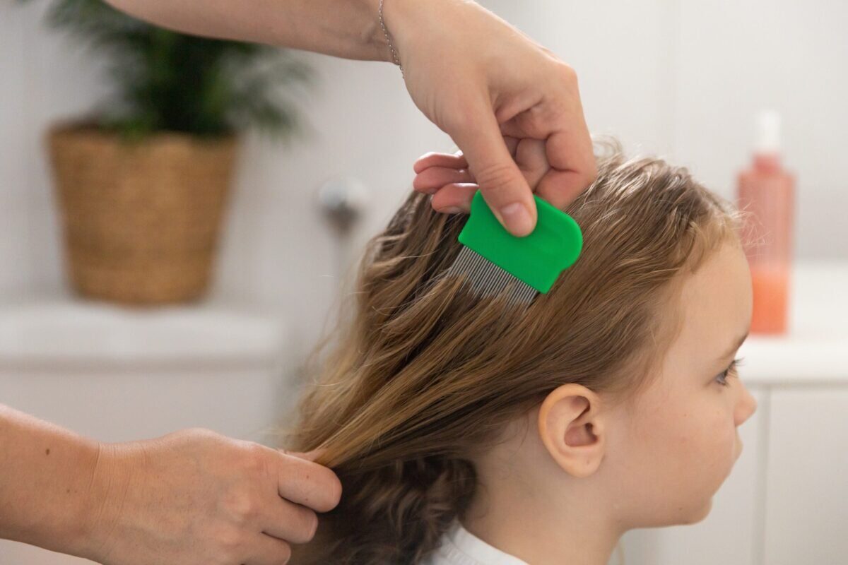 Remedii naturale ANTI-PĂDUCHI: Ce funcționează cu ADEVĂRAT pentru micuții afectați!