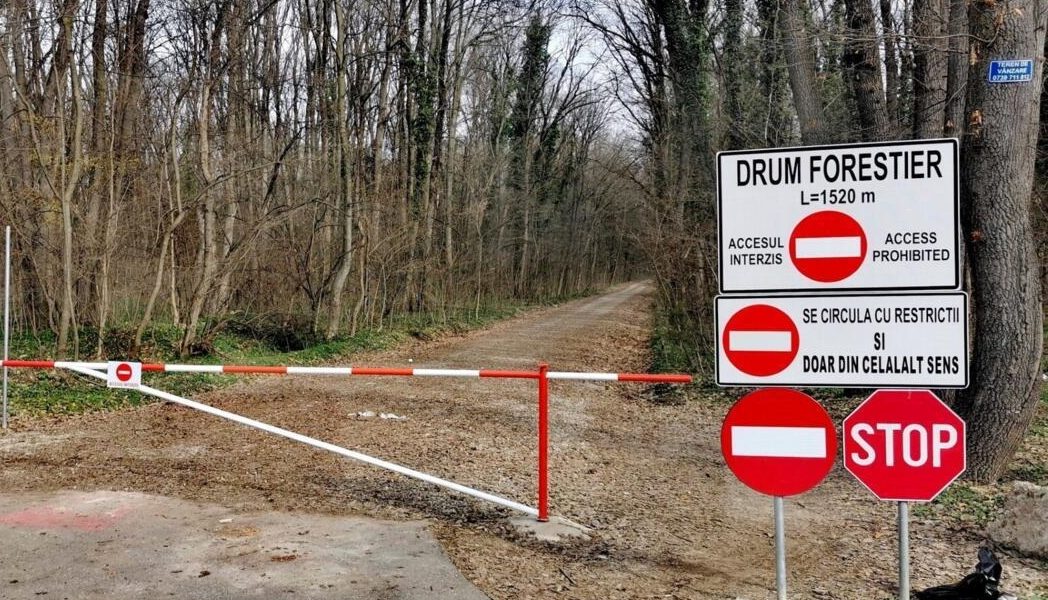 Mașinile, INTERZISE în Pădurea Băneasa: Romsilva blochează accesul auto