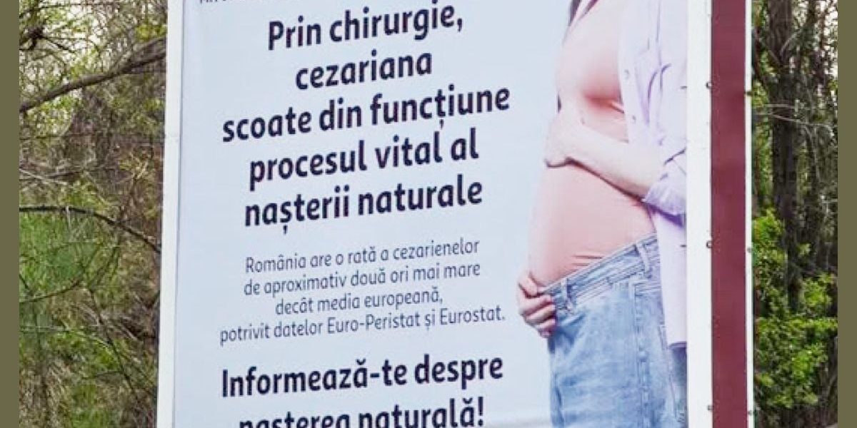 Diana Buzoianu, scandal cu panourile: Sesizare la ANPC și primărie