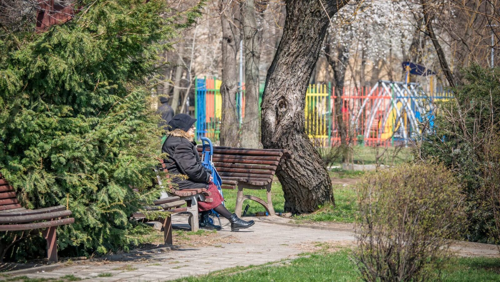 România: Primăria asigură sprijin pentru vârstnici. Anunțul emoționant