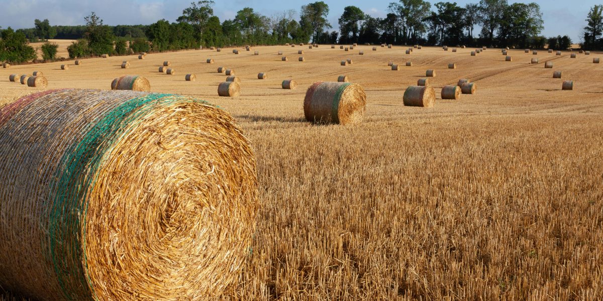 Franța primește 300 milioane EURO. Ajutor pentru fermieri aprobat de Comisia Europeană