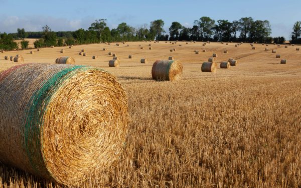 Franța primește 300 milioane EURO. Ajutor pentru fermieri aprobat de Comisia Europeană