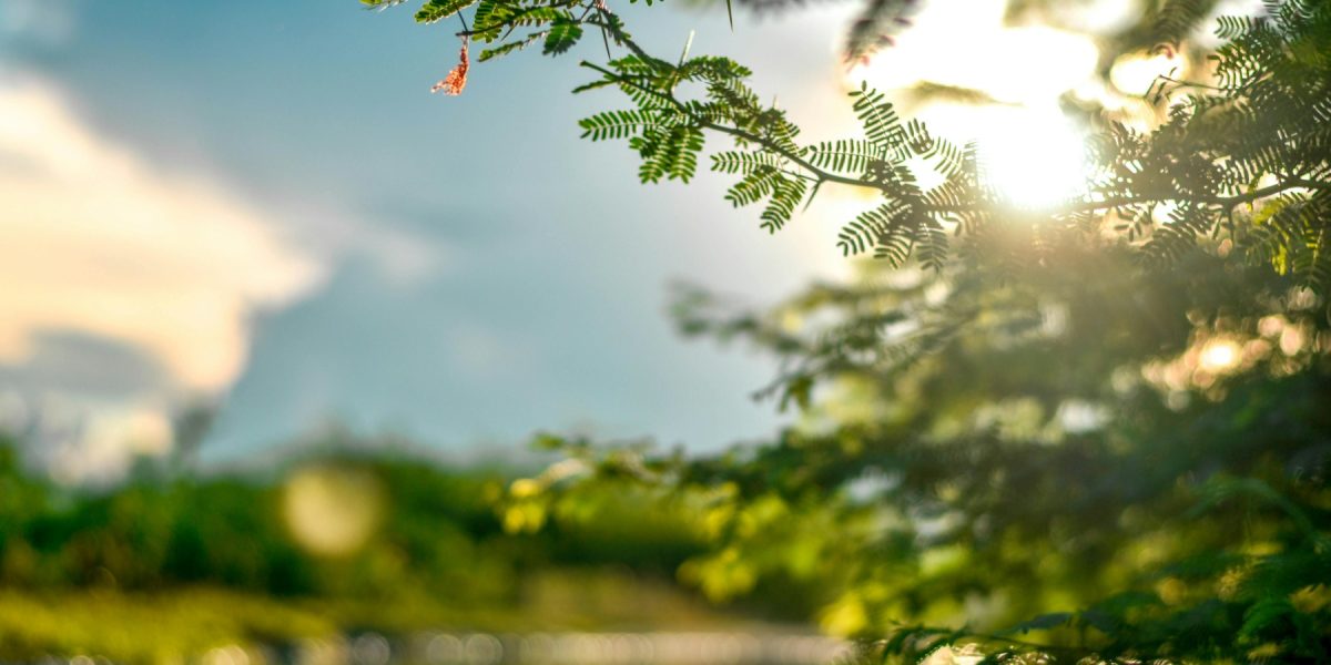 Pielea „iese din iarnă”: Medicul trage semnalul de alarmă despre soare