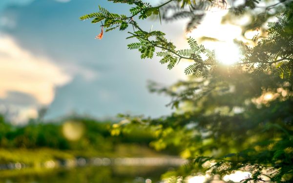 Pielea „iese din iarnă”: Medicul trage semnalul de alarmă despre soare