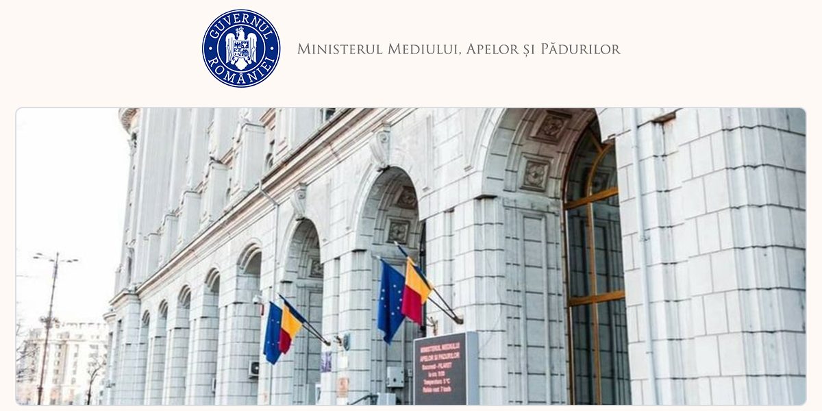 Guvernul lansează dezbateri pe compensații pentru lemn neluat în perioada 2010-2013