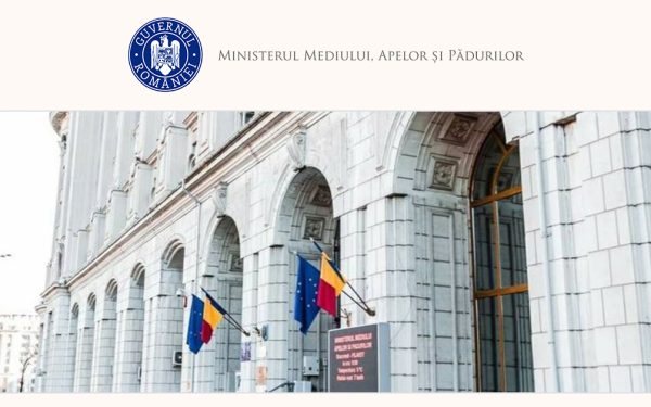 Guvernul lansează dezbateri pe compensații pentru lemn neluat în perioada 2010-2013