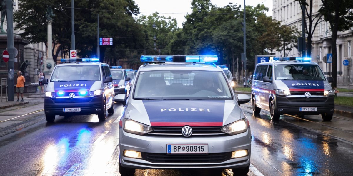 Viena: Bandă de escroci cu majoritate români, reținută de poliție