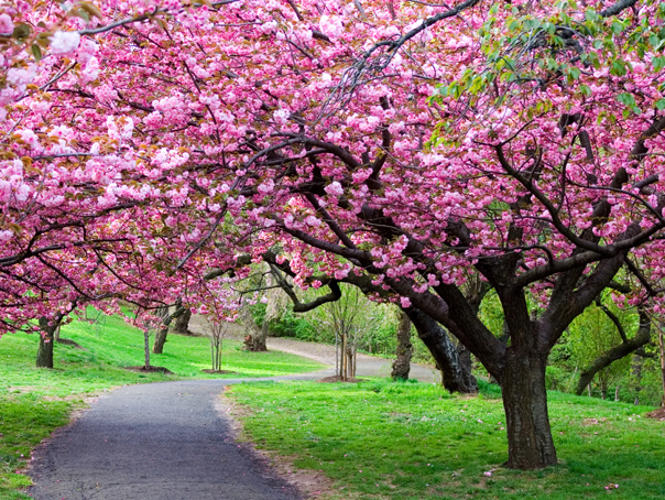 Vreme blândă în următoarele patru săptămâni: ANM anunță temperaturi peste medie