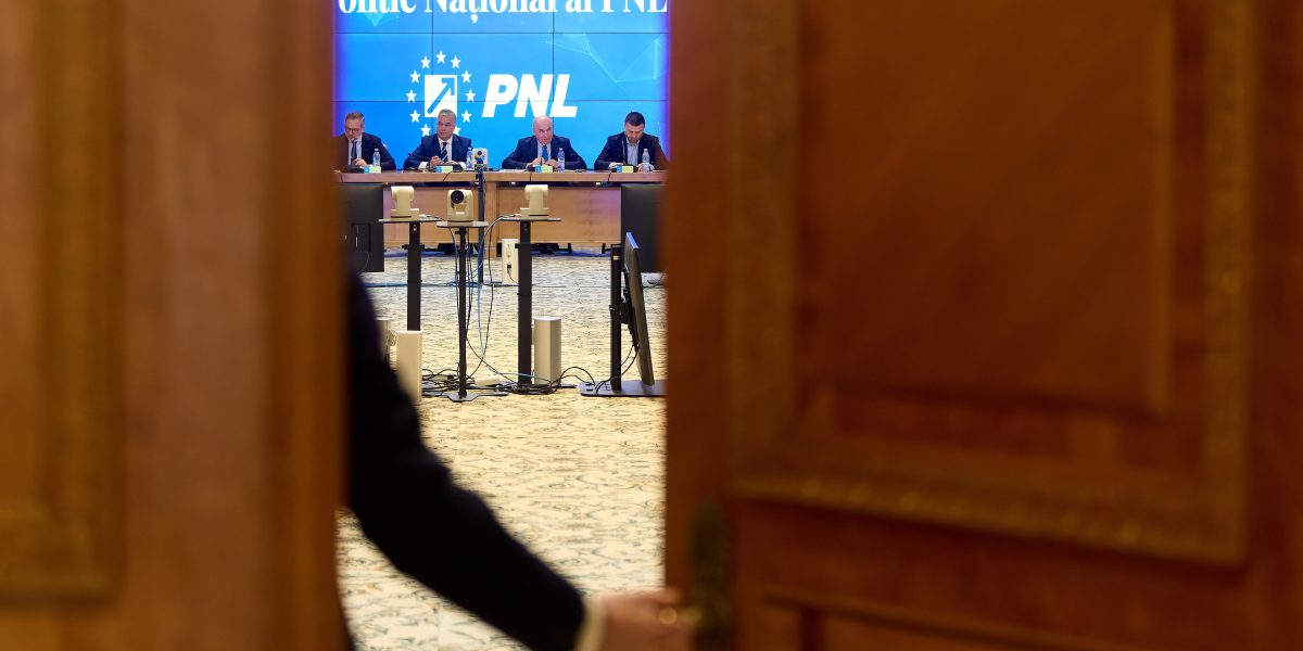 PNL copiază PSD: Decizie crucială, înainte de votul social-democraților