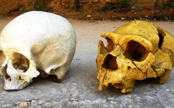 Cum ne influențează NEANDERTHALIENII, chiar și-n 2024? Descoperiri ȘOCANTE