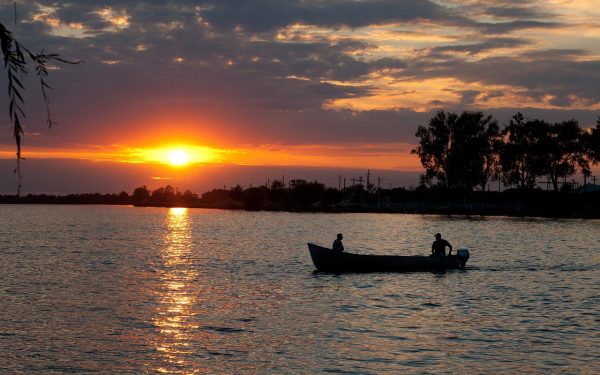 Un studio plutitor atrage tinerii britanici către artă