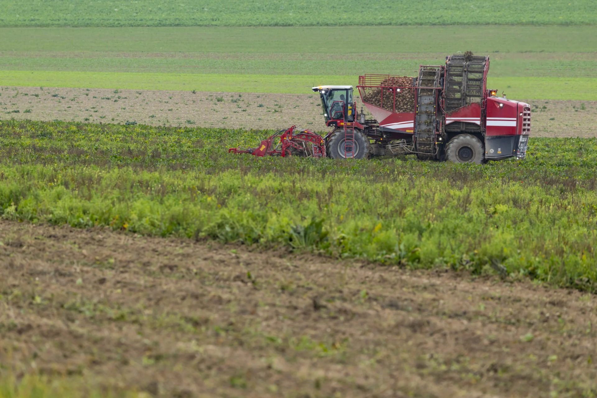 Vremea din perioada următoare va favoriza desfășurarea normală a proceselor biologice în majoritatea regiunilor agricole ale țării, conform specialiștilor din domeniu