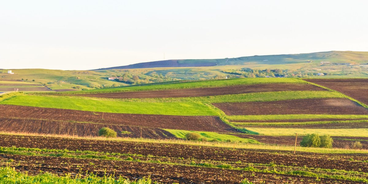 Contractul de arendă 2026: Arendașii și proprietarii, între drepturi și obligații