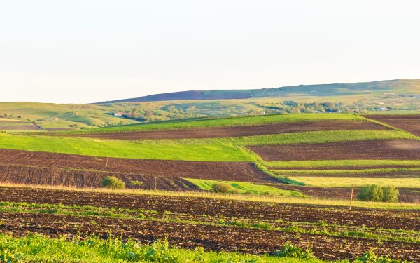 Contractul de arendă 2026: Arendașii și proprietarii, între drepturi și obligații