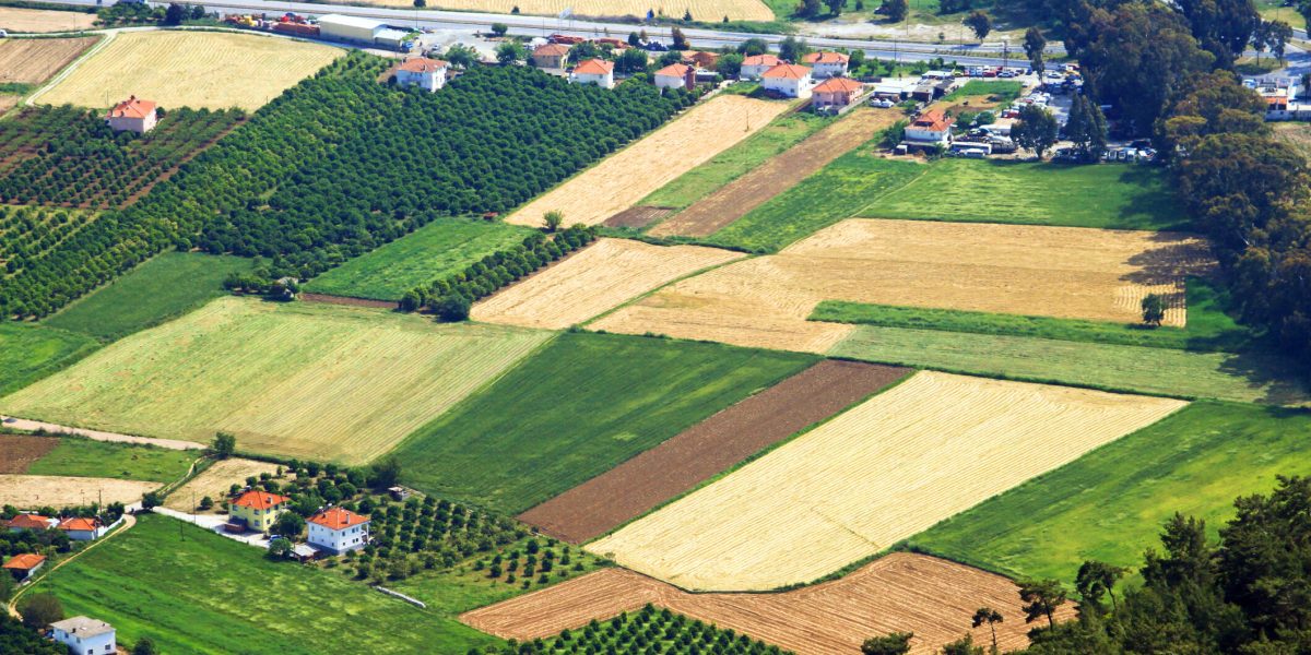 Afla cum cumperi teren în 2026: Lista documentelor obligatorii