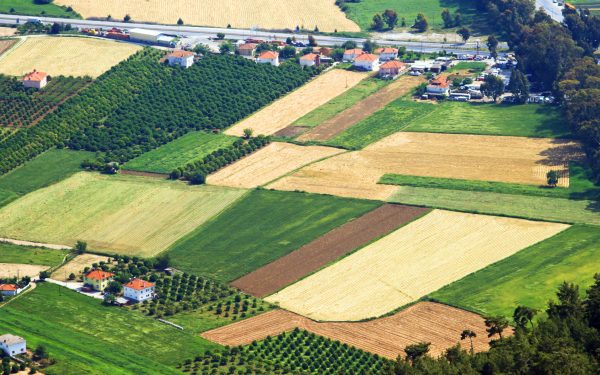 Afla cum cumperi teren în 2026: Lista documentelor obligatorii