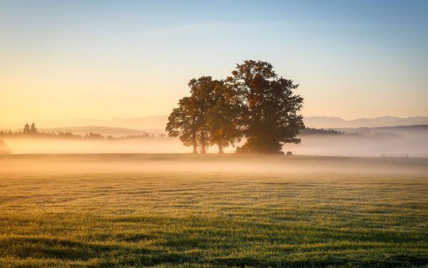 METEO: Vreme capricioasă în România până la jumătatea lui mai. ANM avertizează