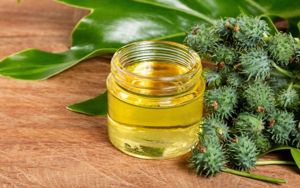 Ulei de ricin: Minune sau mit? Ce spun studiile științifice