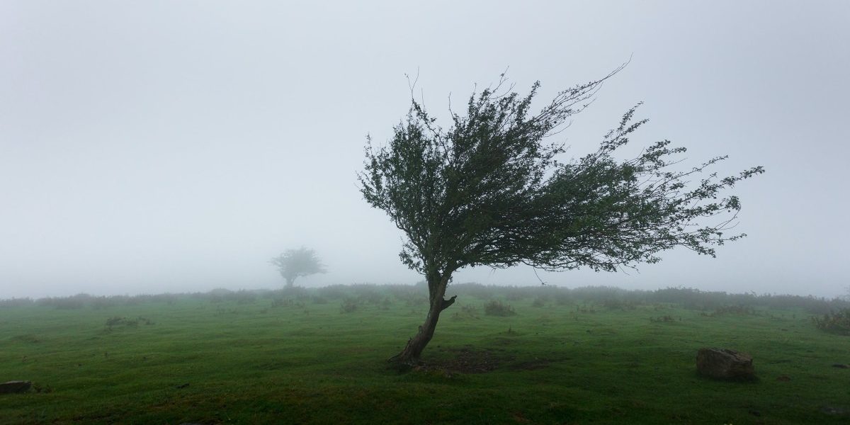 Avertisment meteo: Cod galben de vreme rea vineri și sâmbătă în România