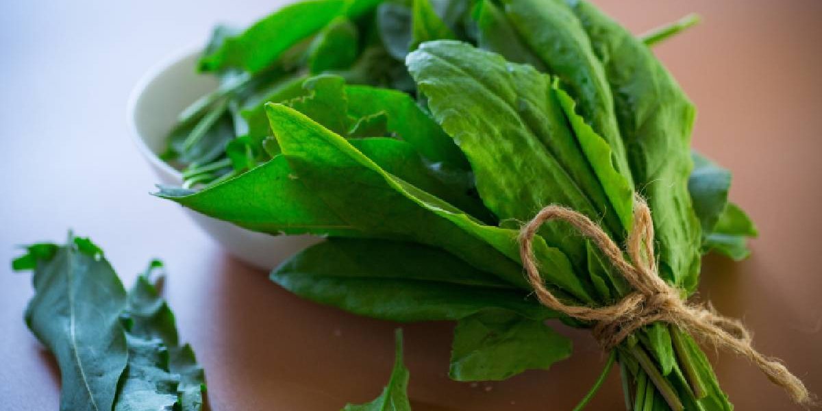 Verdețurile, secretul unei tensiuni arteriale sub control în România