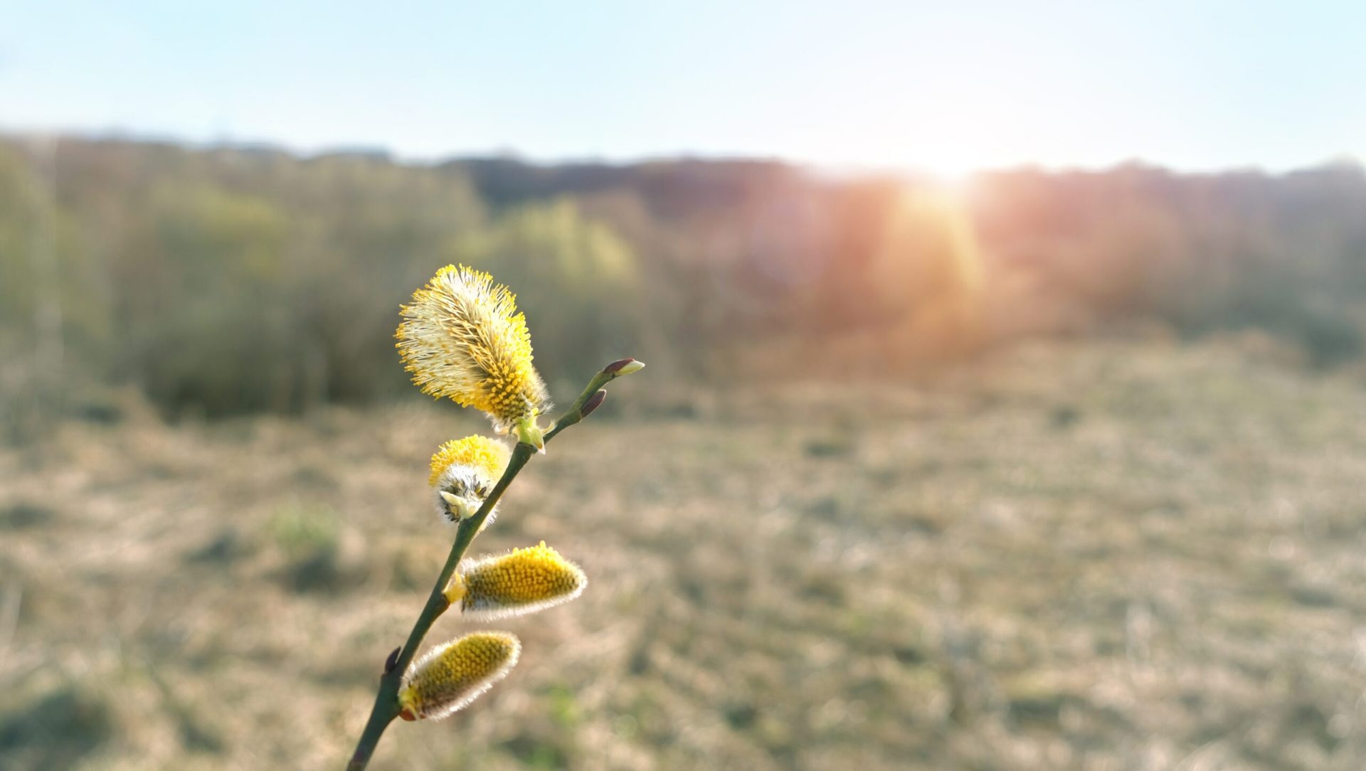 Vremea se va răci semnificativ în următoarele două săptămâni, temperaturile minime urmând să atingă chiar și -7 grade Celsius în anumite zone