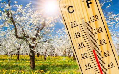 Vremea de Florii 2026: Ploile strică Paștele? Prognoza ANM anunță