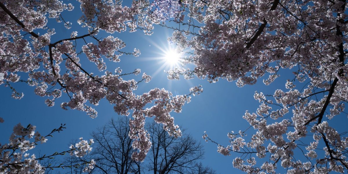 Vremea de 1 Mai: Meteorologii anunță ce ne așteaptă în România