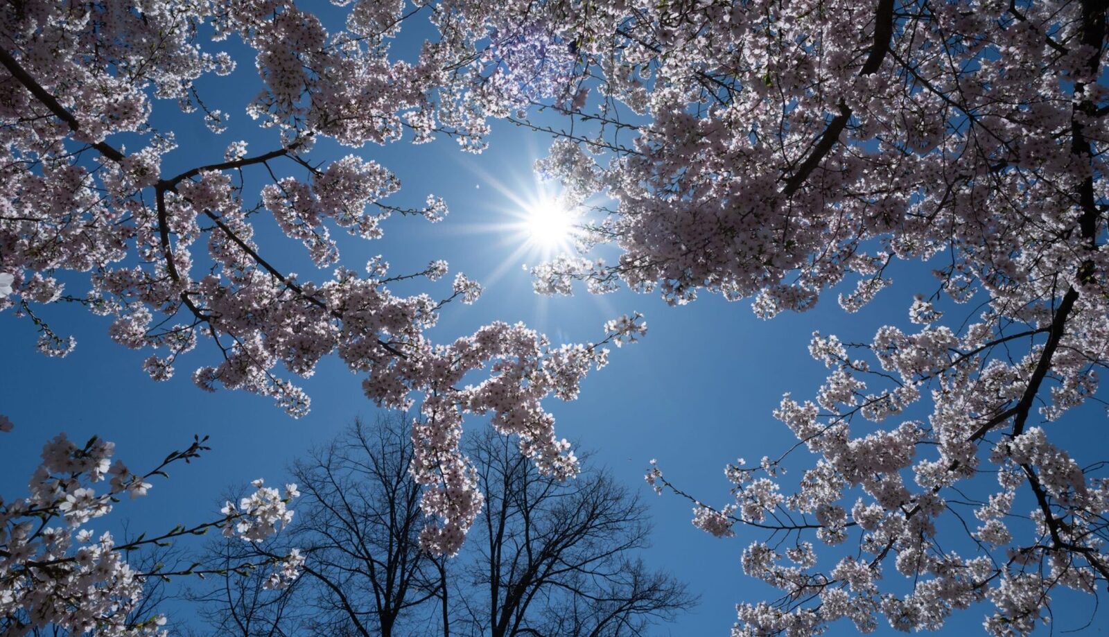 Vremea de 1 Mai: Meteorologii anunță ce ne așteaptă în România