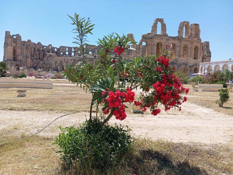 Tunisia, prin cenușa imperiilor: Reportaj VIDEO din deșert