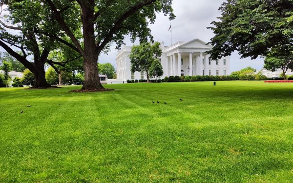 Finanțarea sălii de bal a lui Donald Trump, la Casa Albă, pe muchie de cuțit după votul din Senat