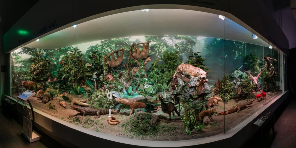 Noaptea Muzeelor: Antipa, gratuit! Expoziția permanentă deschisă publicului