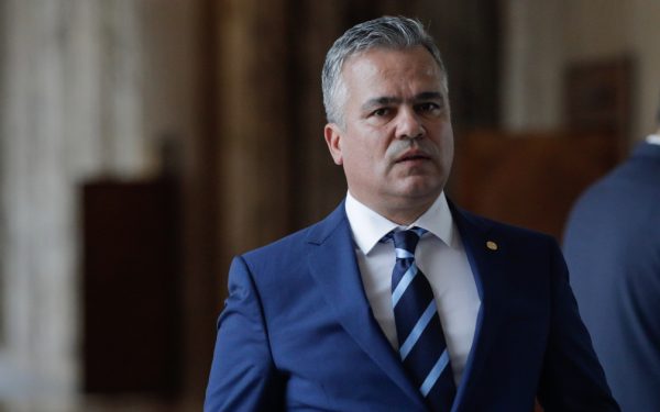 Veștea, premier desemnat: Prima declarație a lui Adrian Veștea