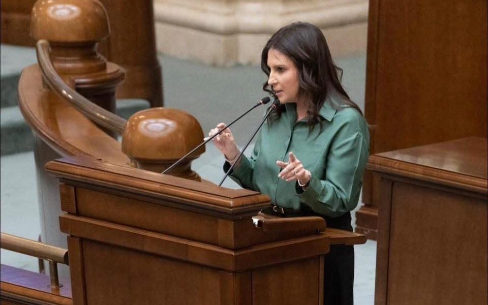 Senatul a adoptat conturile individuale de investiții pentru viitor