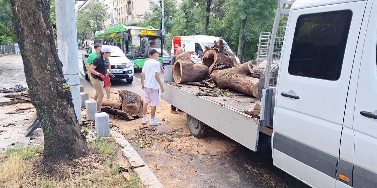 București devastat de furtună: Copaci doborâți, Parcul Carol inundat