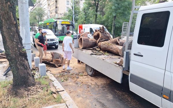București devastat de furtună: Copaci doborâți, Parcul Carol inundat